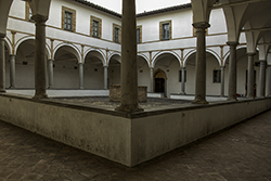 DSC_7392 Montone-SanFrancesco-750